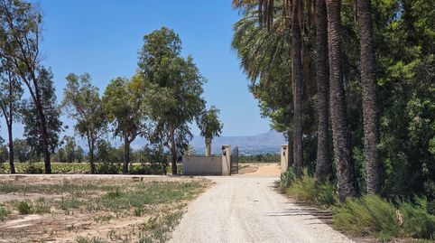 Foto 2 de Casa o xalet en venda a Carrús Oeste, Elche / Elx