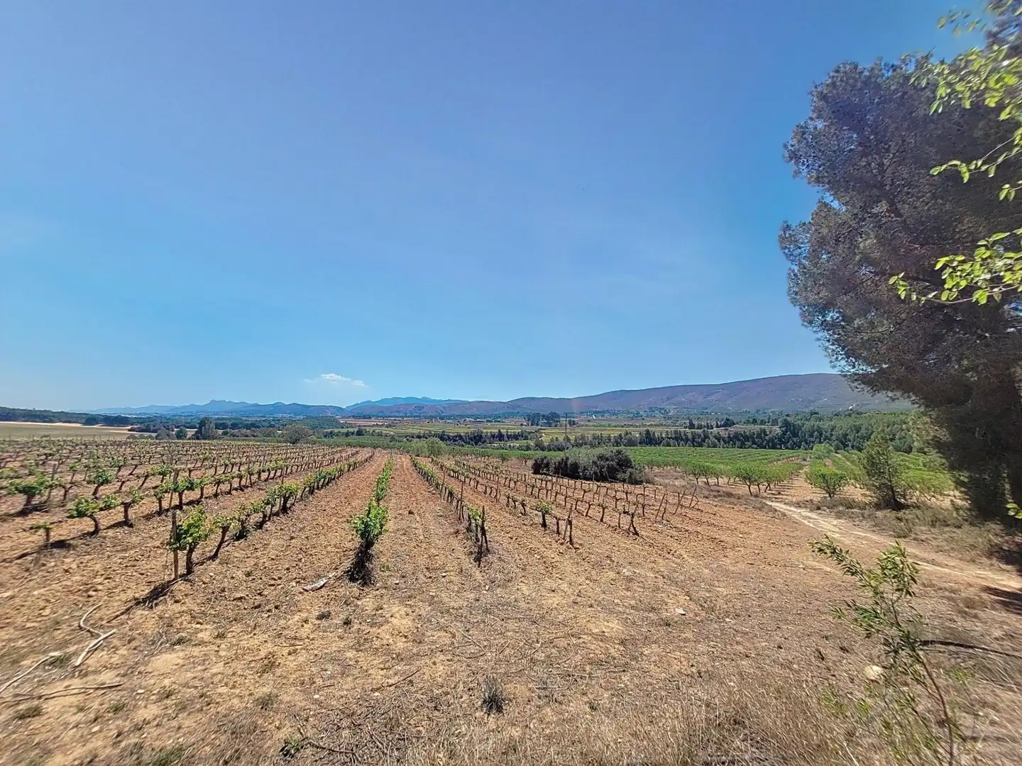 Land for sale in Ontinyent