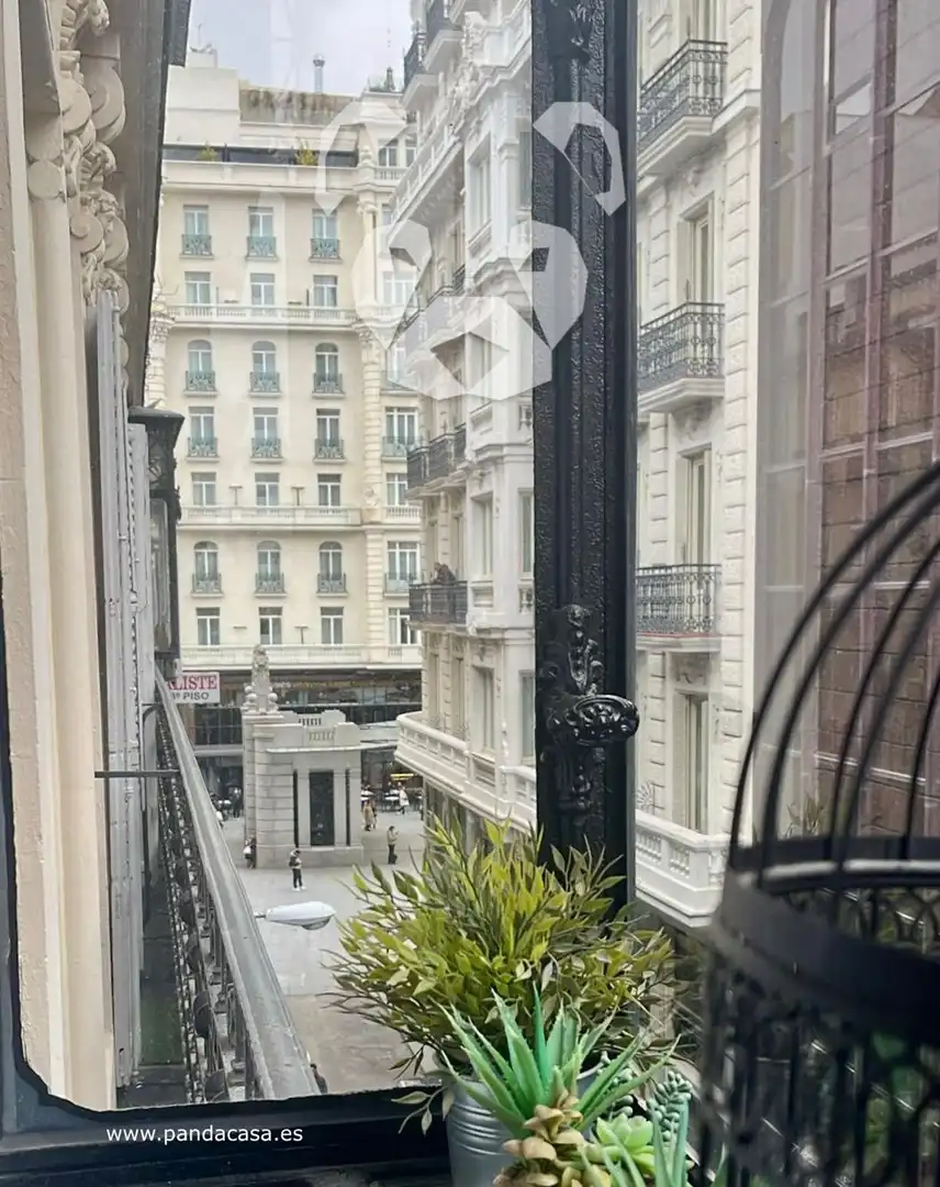 Appartement avec terrasse à louer à Caballero de Gracia 6