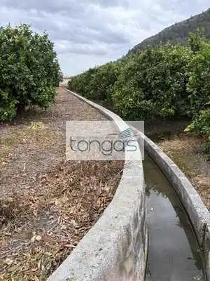 Rustikales Grundstück zum Verkauf in Xàtiva, imagen 8