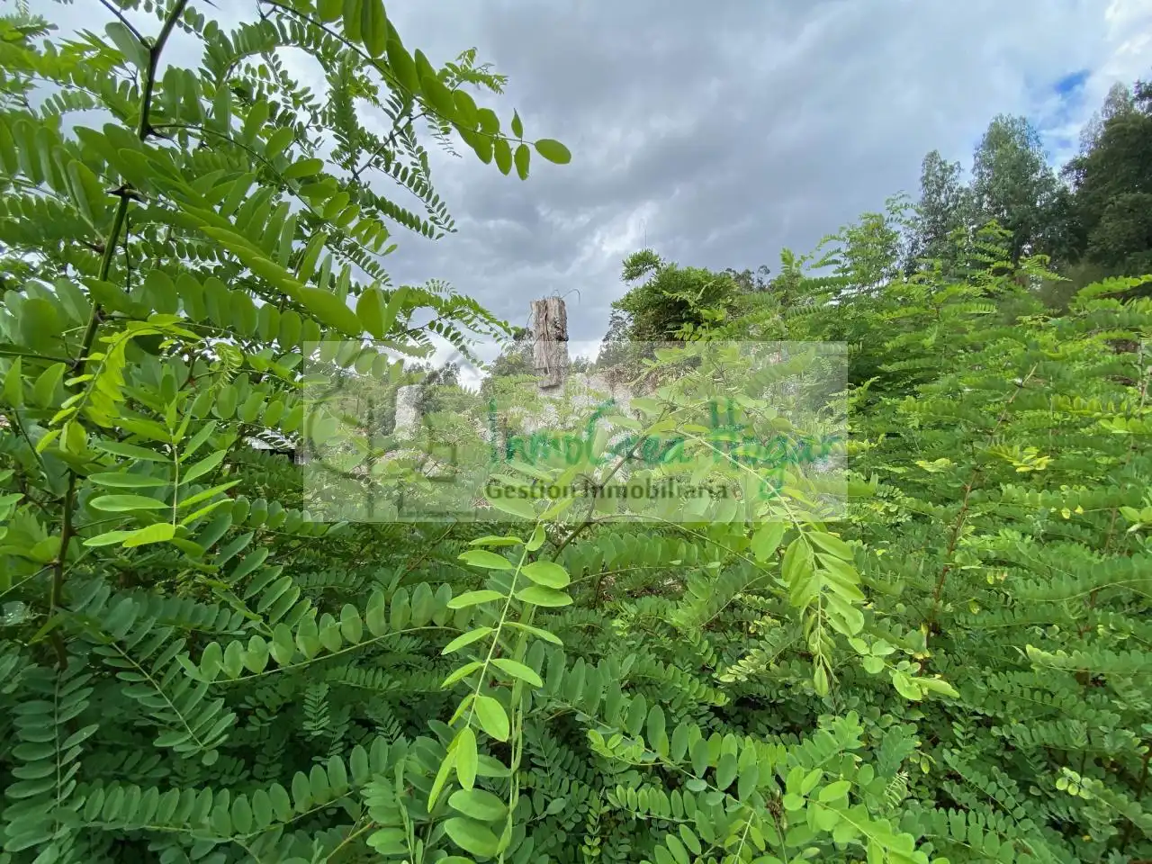 Casa rustica in vendita a Salceda de Caselas, imagen 13