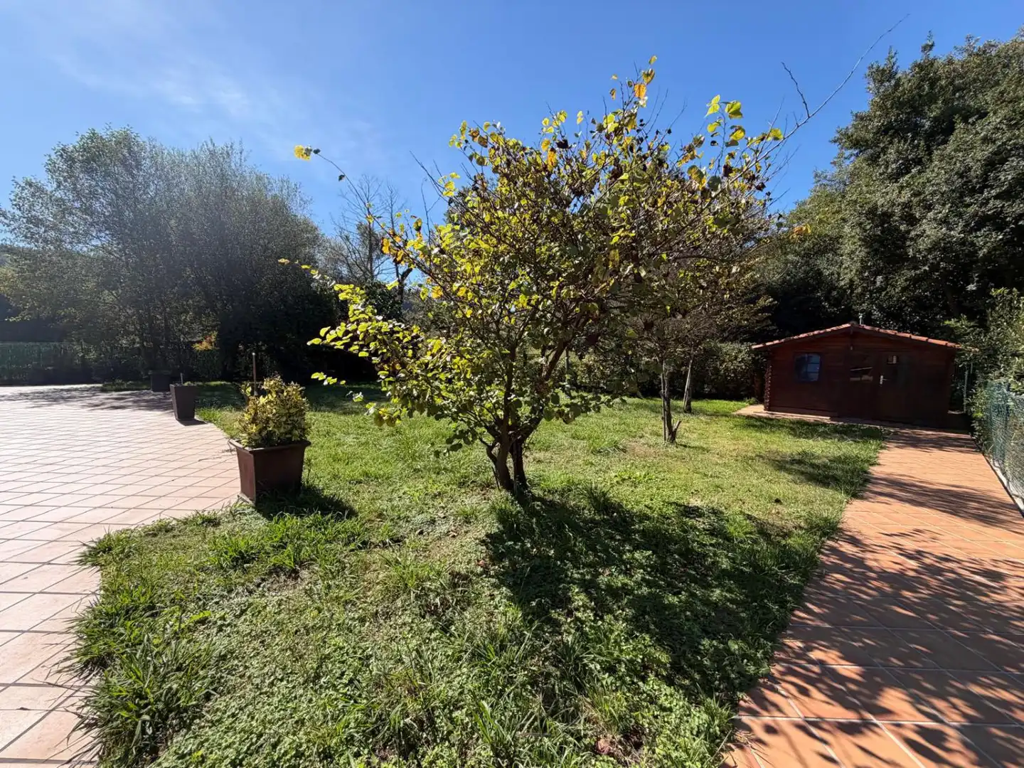 Maison avec terrasse à vendre à La vendimia, imagen 10