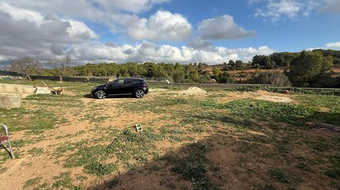 Amplio Solar en LAlzineta, Rodonya  Oportunidad de Inversión