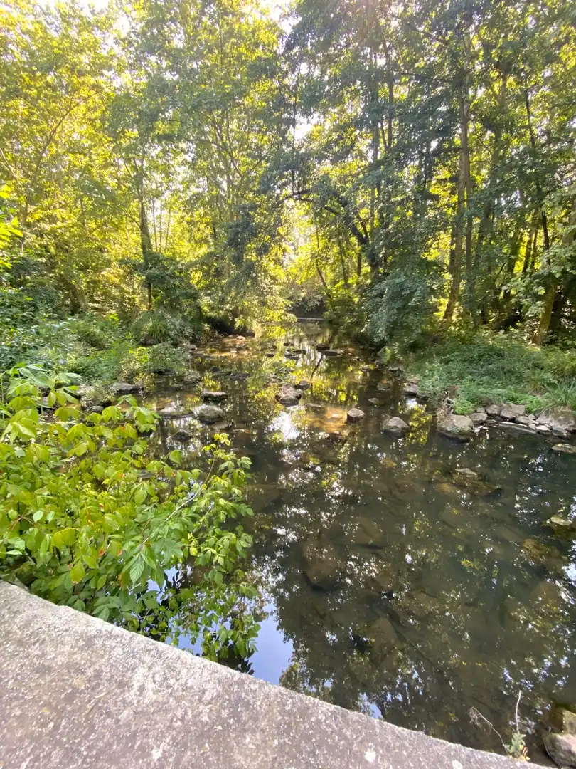 Vista exterior de Finca rústica en venda en Olot