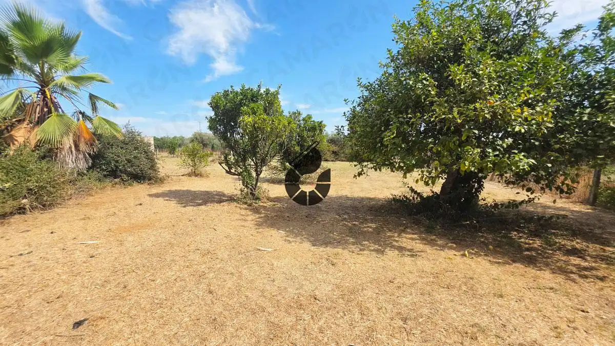 Finca rústica en venda en Coria del Río amb Jardí privat i Piscina