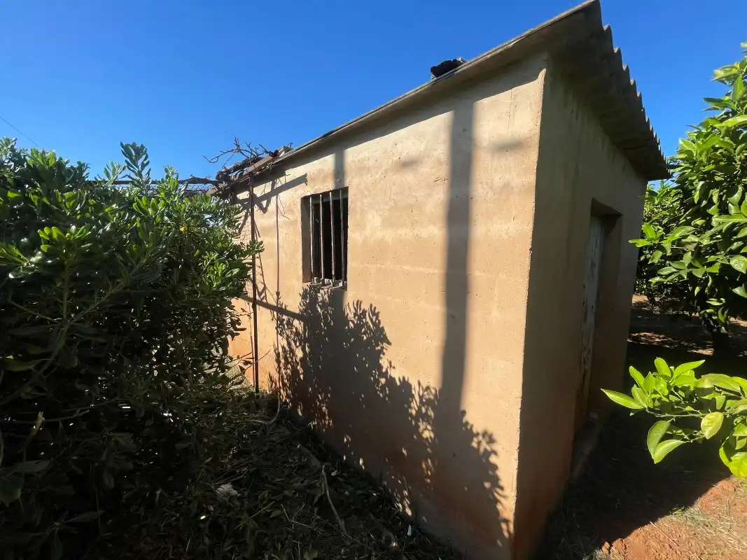 Terrain rustique à vendre à Partida Bases 254, imagen 21