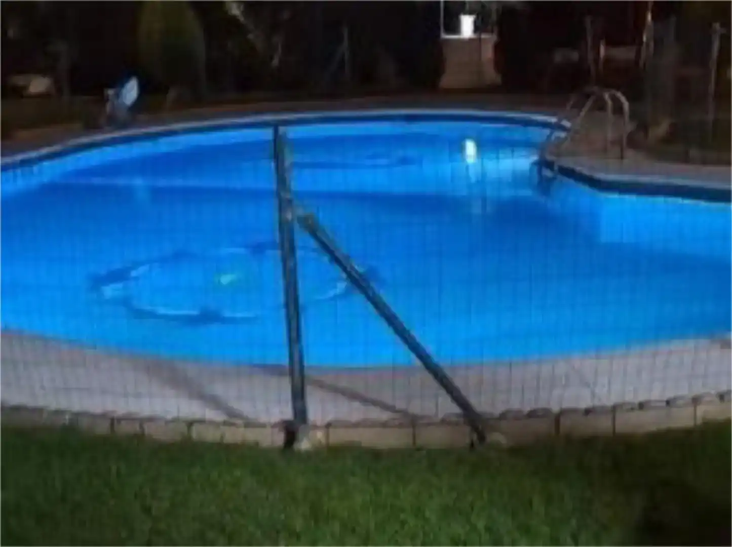 Swimming pool of Houses for rent in Guaro, Málaga