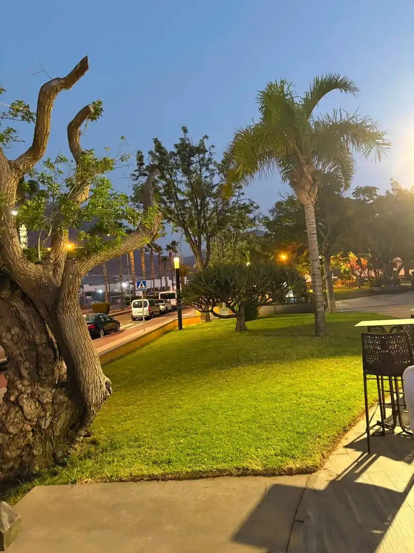 Vista exterior de Residencial en venta en Agaete