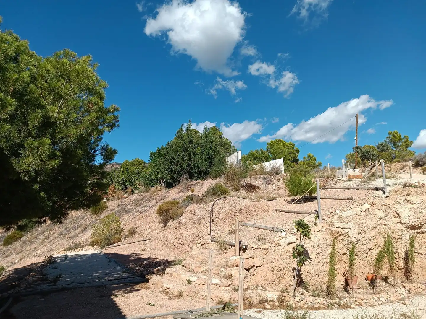 Casa con jardín en venta en Totana, imagen 8