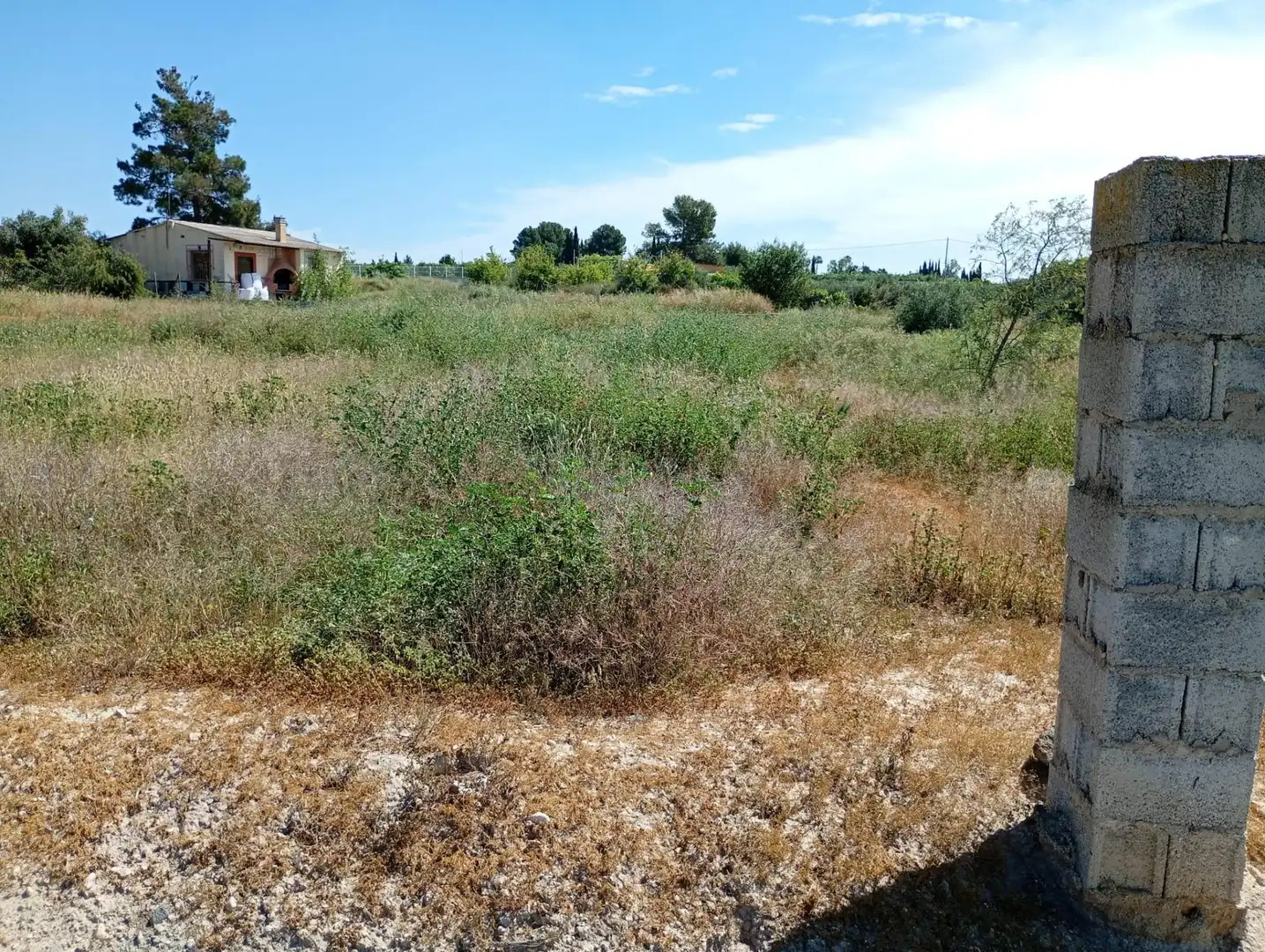 Grundstücke und Bauplätze zum Verkauf in Lorquí, imagen 2