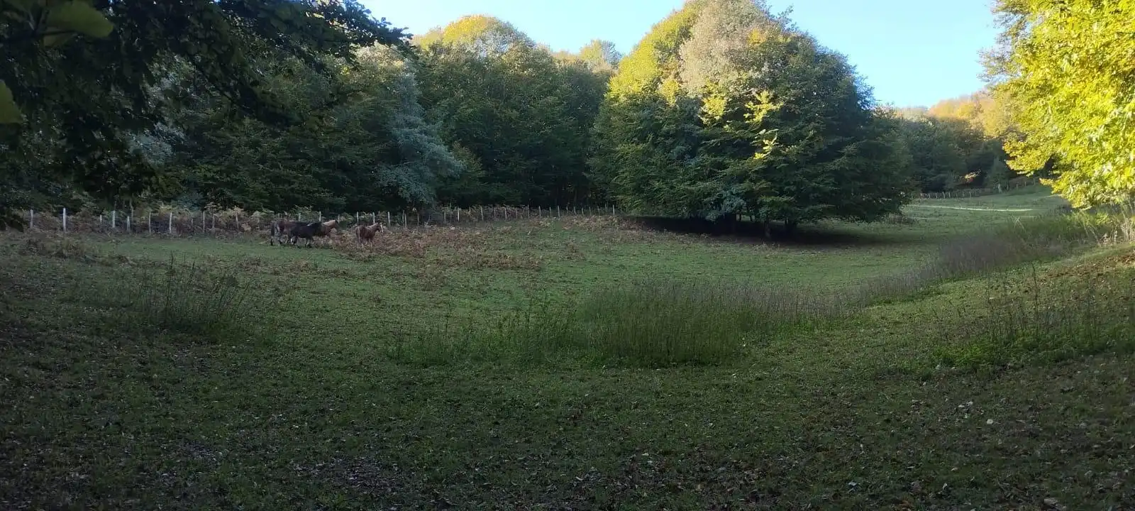 Terreno en venta en Basaburua, Navarra