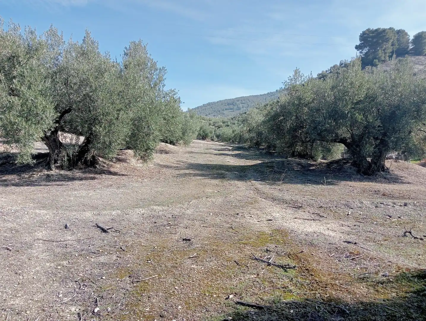 Terreni e lotti in vendita a Puente Jontoya - Puente de la Sierra - El Arroyo, imagen 2