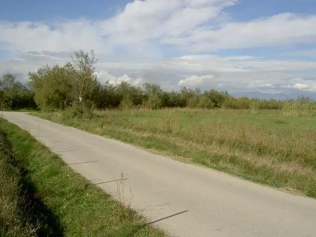 Rural land for sale in Sant Pere Pescador, imagen 59