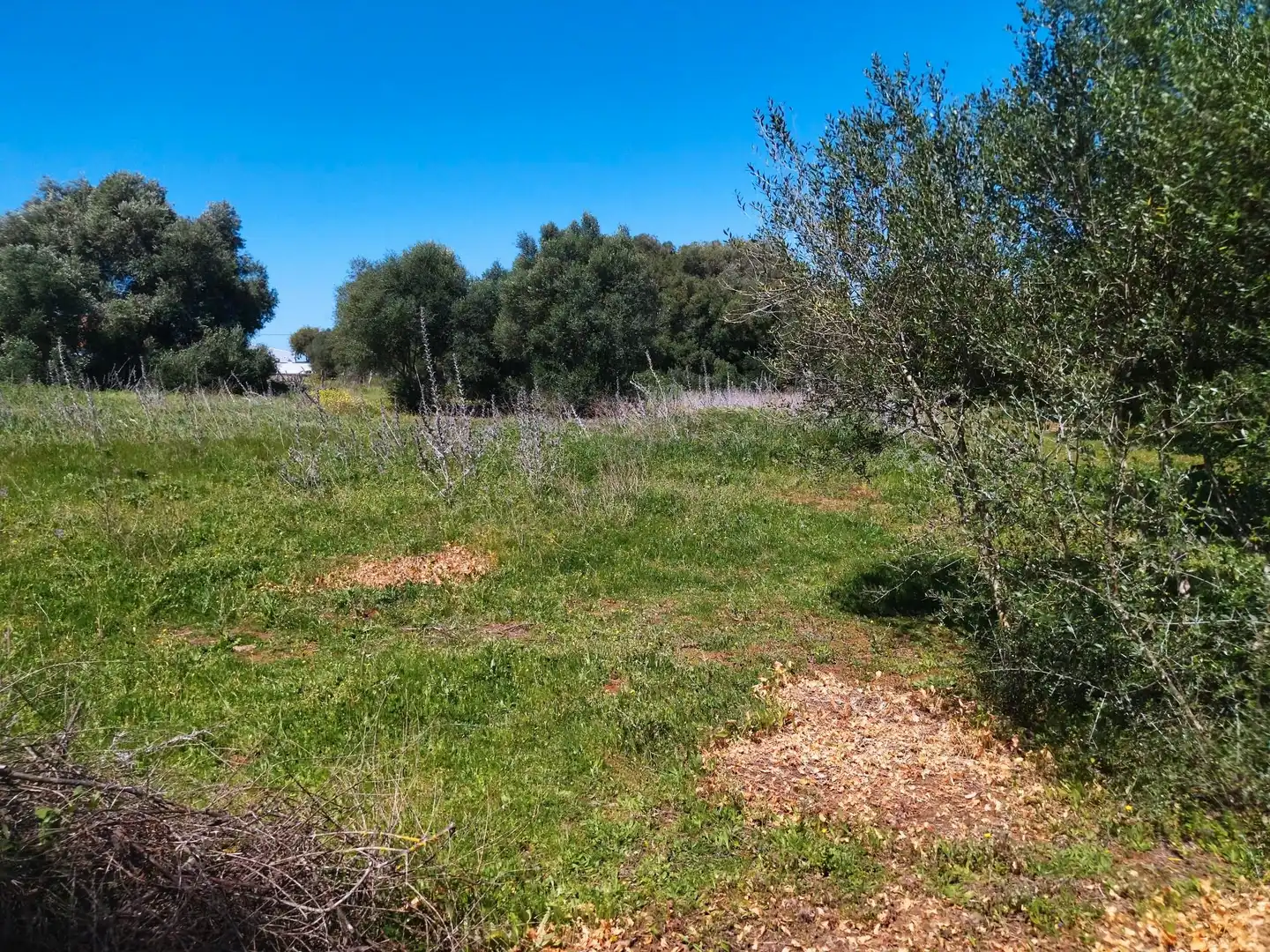 Casa rústica amb jardí en venda a N/A, imagen 21