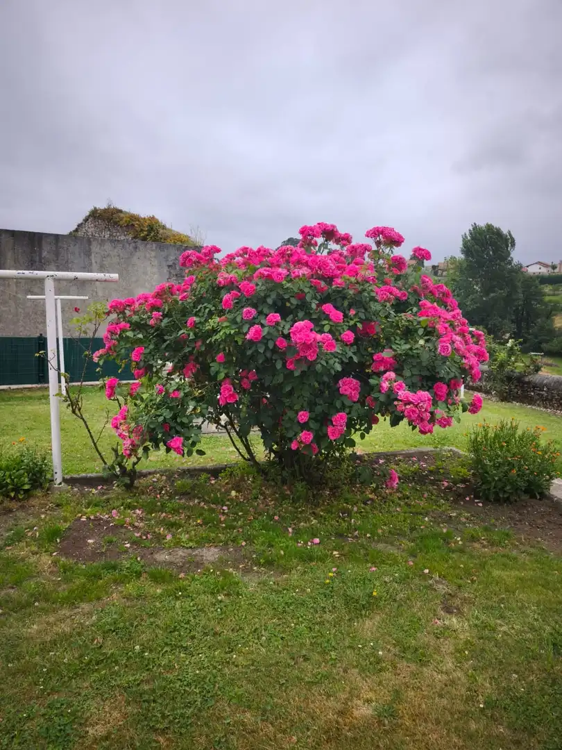 Haus mit Garten zum Verkauf in Suances, imagen 15