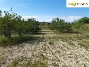 Rural land for sale in La Secuita, imagen 2