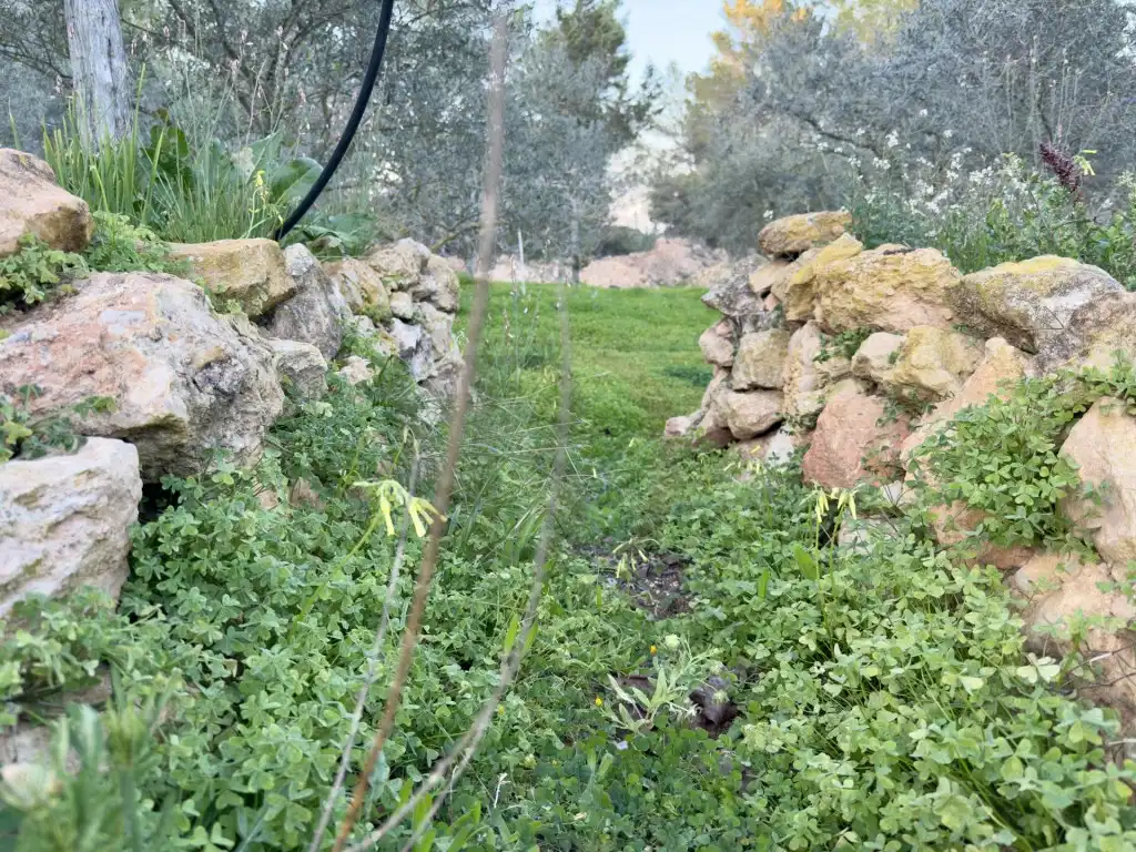 Houses for sale in Sant Josep de sa Talaia  with Private garden