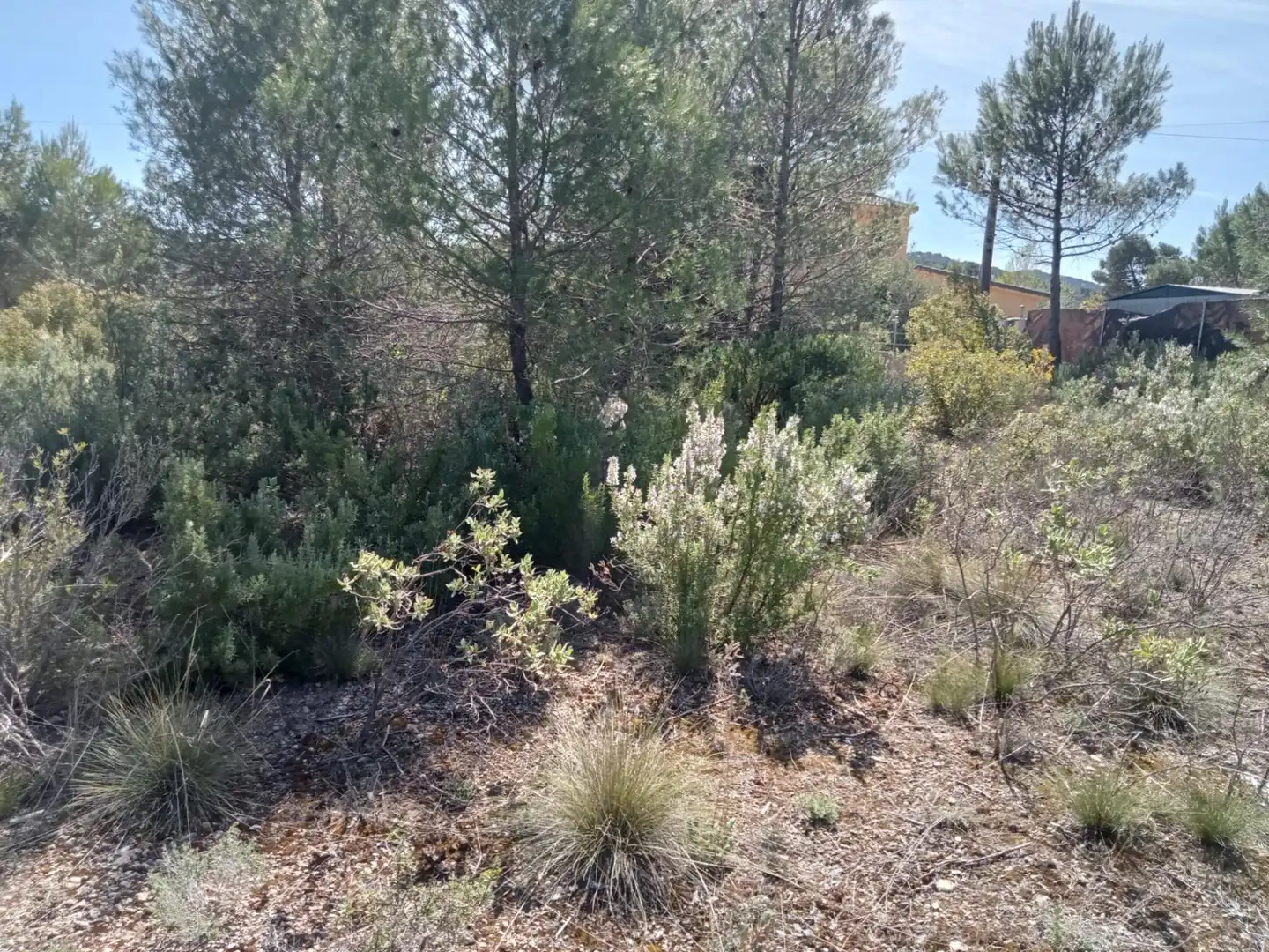 Residential land for sale in Urbanizacion NUEVA SIERRA EE, imagen 2