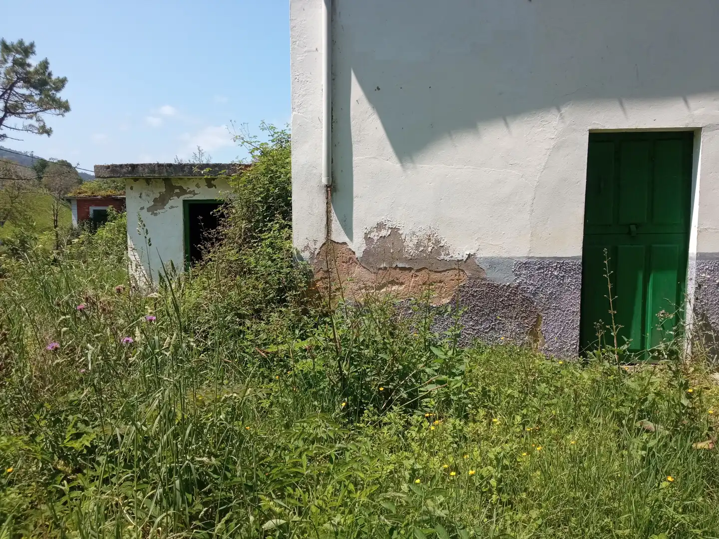 Vista exterior de Finca rústica en venta en Valdés - Luarca con Jardín privado, Terraza y Amueblado