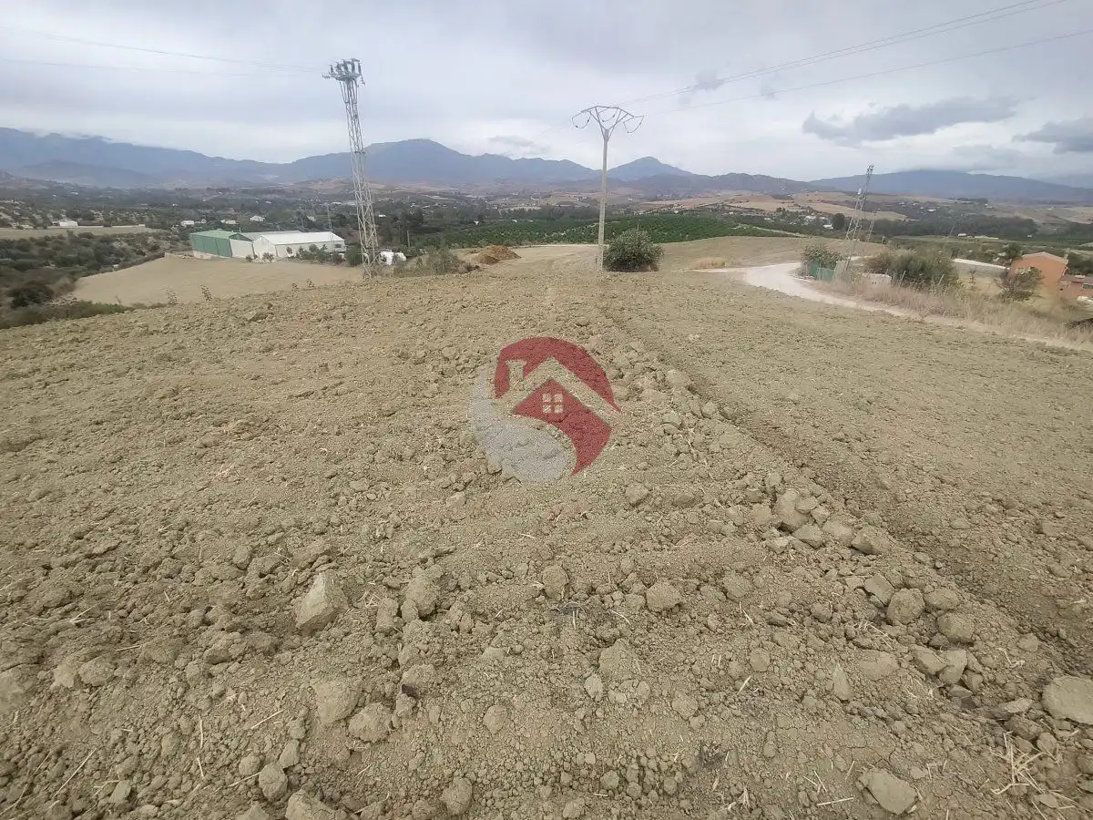 Terreno rústico en venta en Alquería - Torrealquería