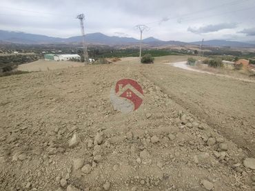 Rural land for sale in Alquería - Torrealquería
