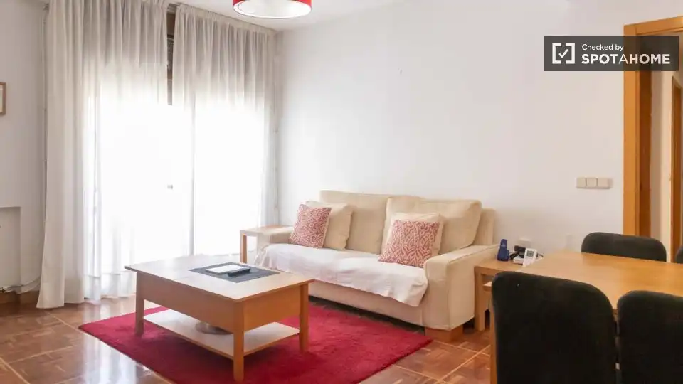 Appartamento con terrazza in affitto a Barrio de Salamanca