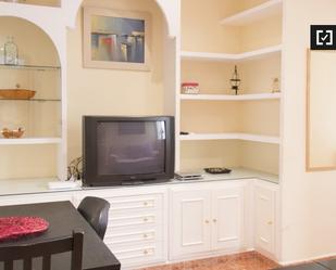 Living room of Flat to rent in  Madrid Capital  with Air Conditioner, Heating and Furnished