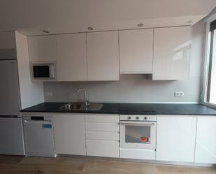 Kitchen of Flat to rent in Burguillos de Toledo  with Air Conditioner, Heating and Terrace