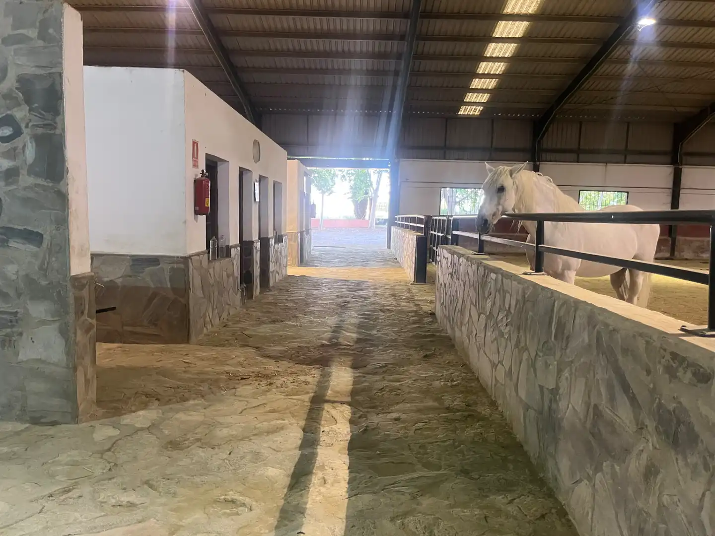 Industrial building for sale in Carretera de Córdoba, imagen 112