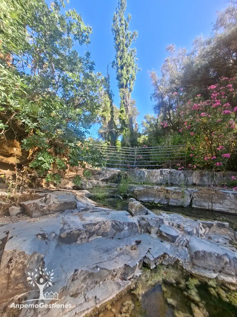 Garden of Land for sale in Las Navas de la Concepción