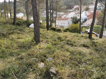 Terrenys i solars en venda a Canyelles