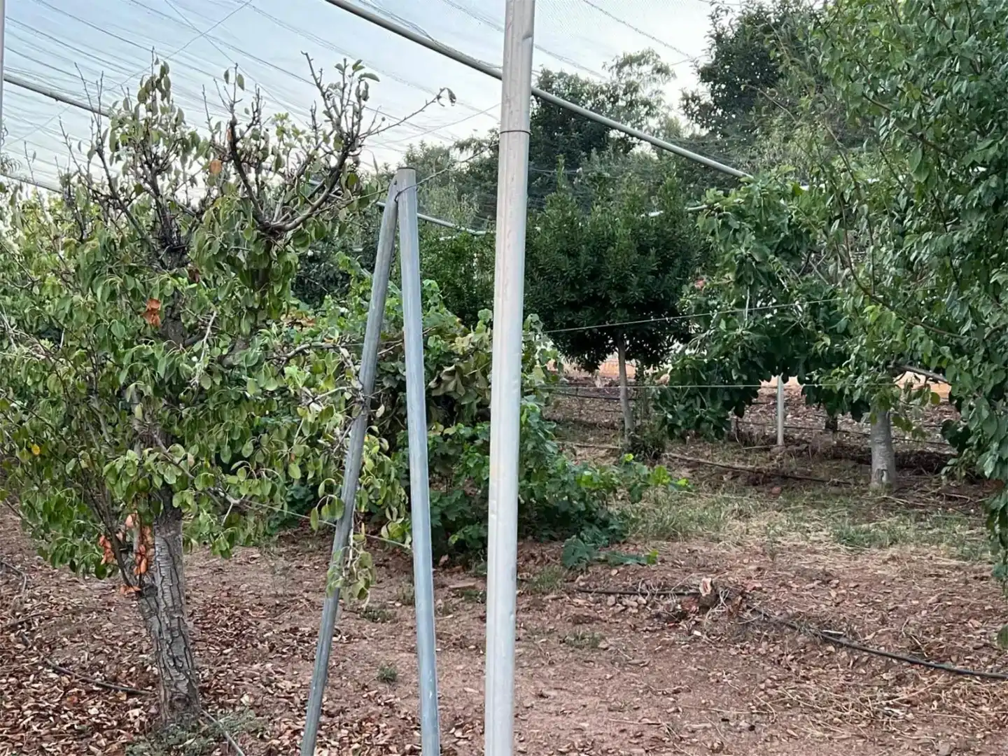Piso en venta en Piedrabuena