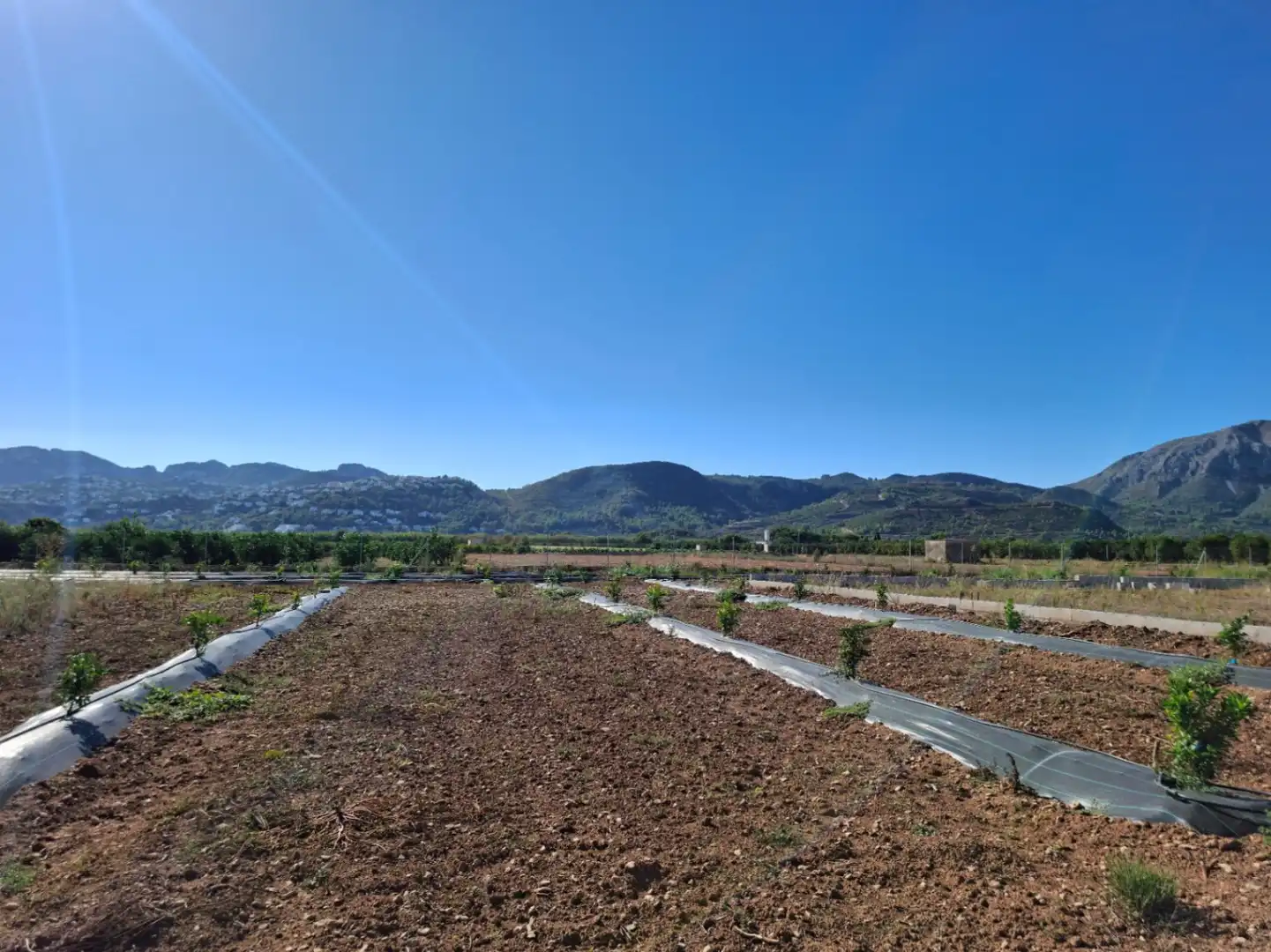 Terreny residencial en venda a Pego, imagen 8