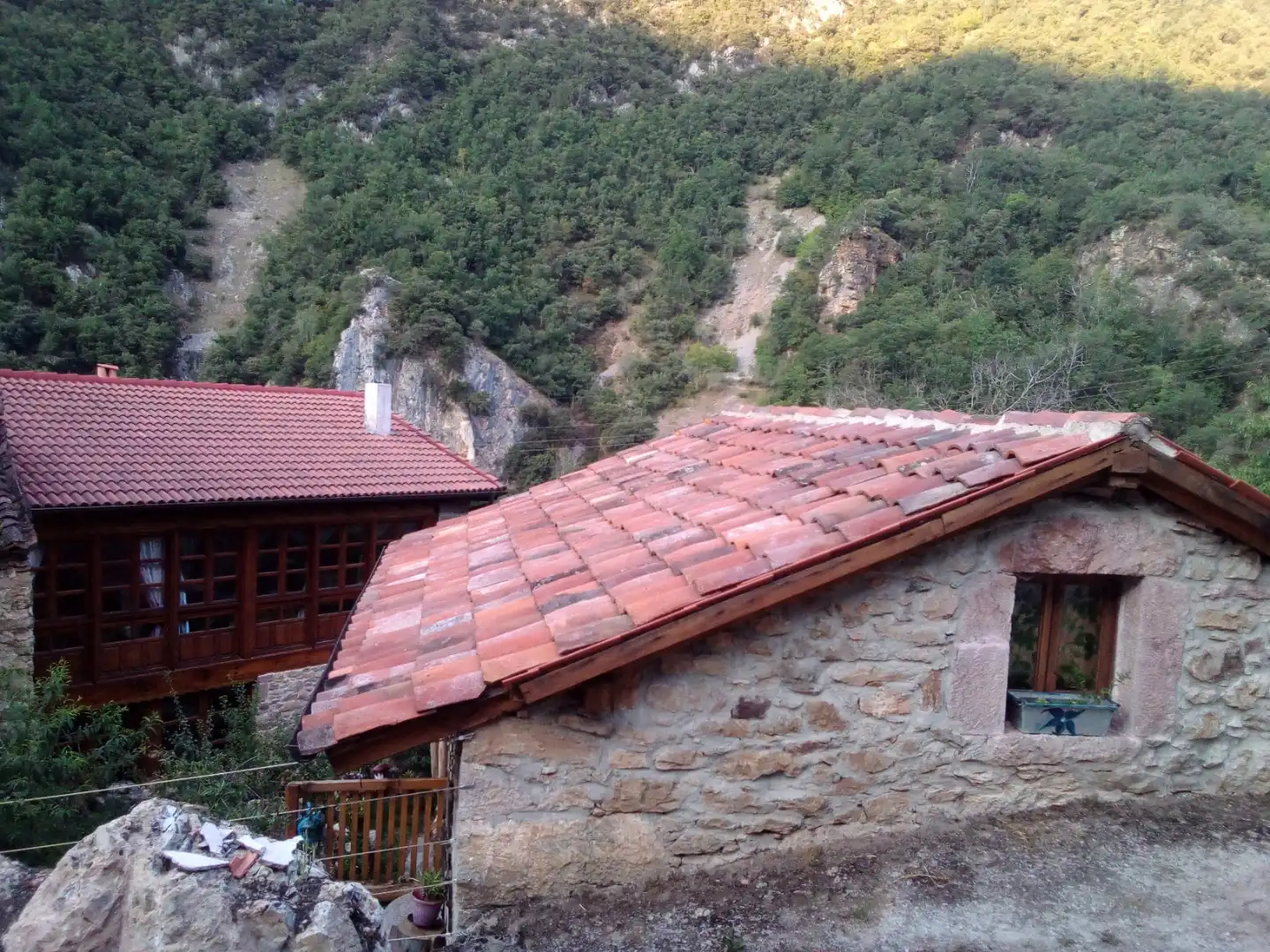 Exterior view of Land for sale in Somiedo
