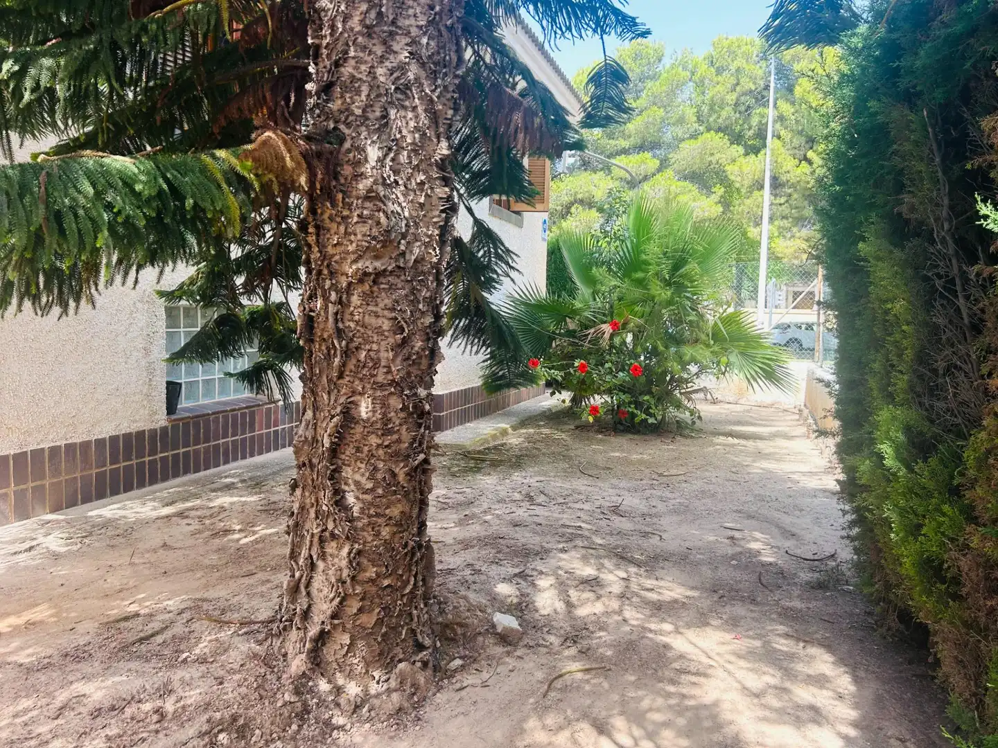 Villa mit Terrasse zum Verkauf in Los Cuarteros, imagen 9