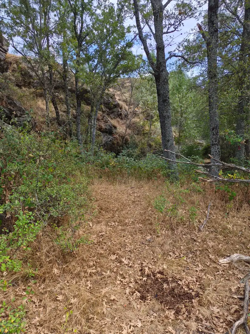 Terreno en venta en Piñuécar-Gandullas