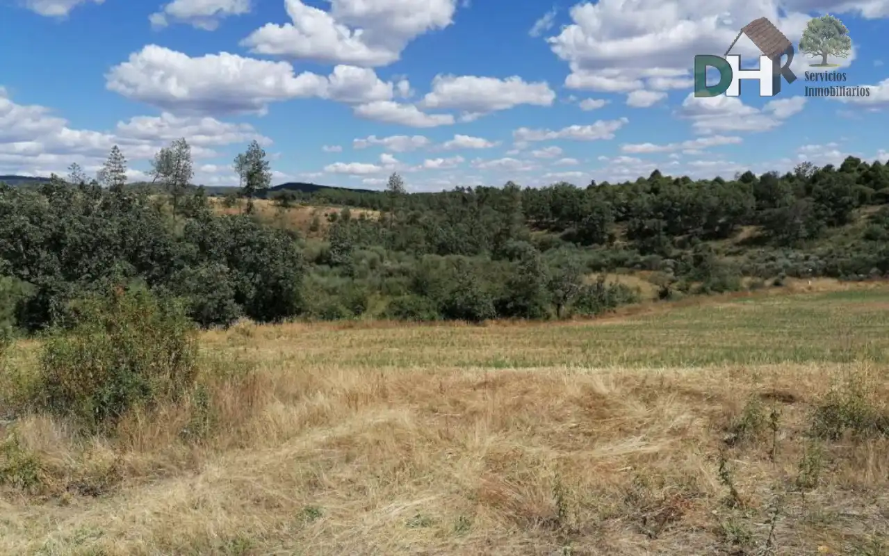 Terreni e lotti in vendita a Valverde del Fresno, imagen 2