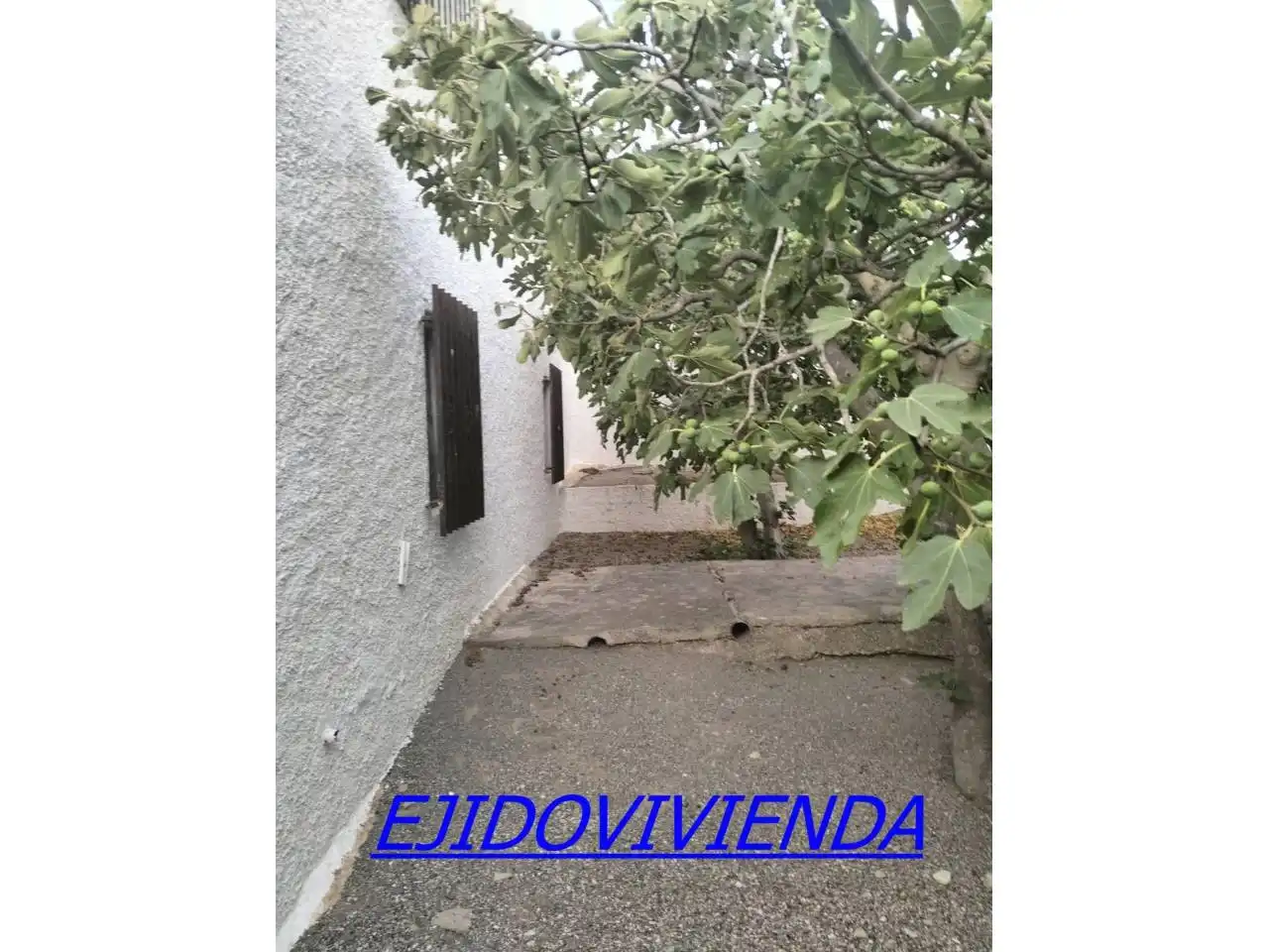 Vista exterior de Casa o chalet en venta en El Ejido con Jardín privado y Terraza