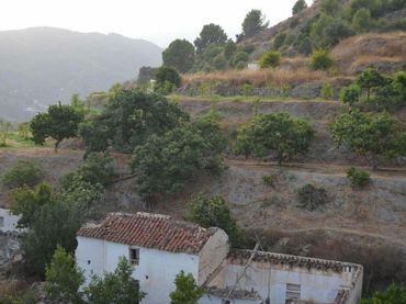 Landhaus mit Garten zum Verkauf in Camino Río Seco
