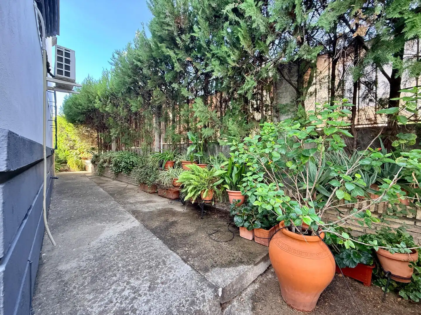 Jardín de Casa o chalet en venta en Gelves, Sevilla