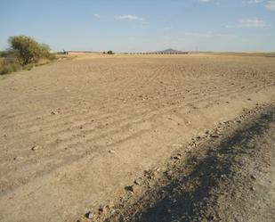 Terreny en venda en Don Benito