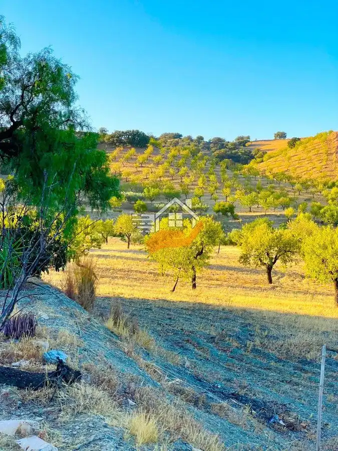 Casa rústica en venta en Vélez-Rubio, imagen 29
