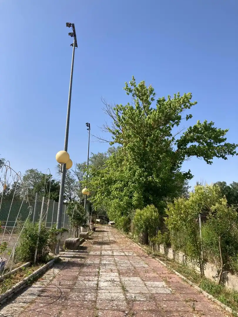Vista exterior de Casa o chalet en venta en Aranjuez con Jardín privado y Piscina