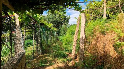 Vigo, (Pontevedra) Finca rústica en Rúa Eifonso-Bembrive, Polígono 100., immagine 2