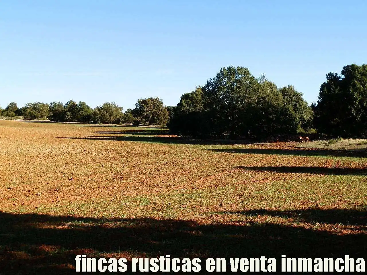 Lands and plots for sale in Ossa de Montiel, imagen 3