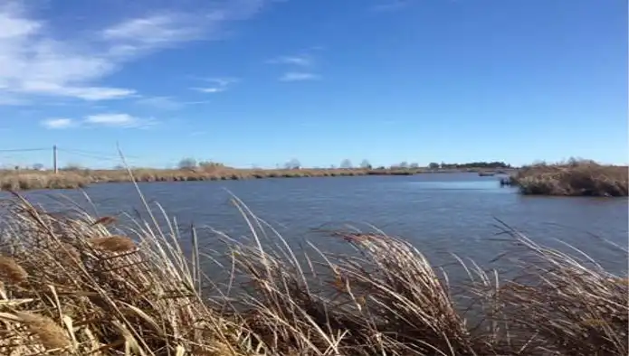 Terreny rústic en venda a Pol Estanys de Almenara, imagen 7
