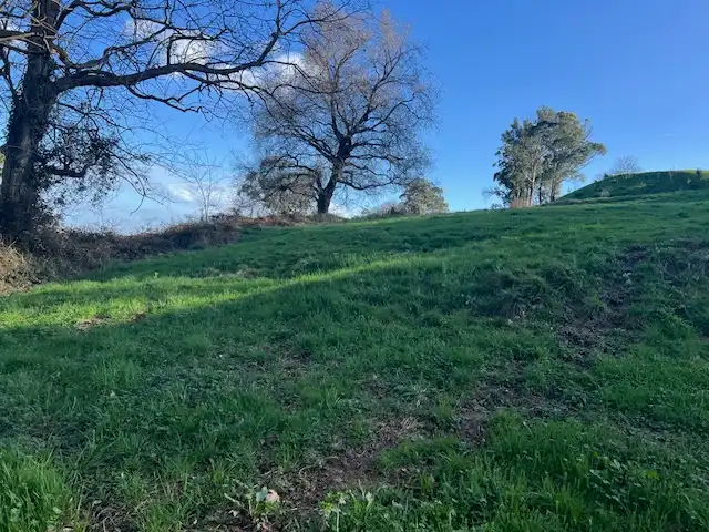 Land for sale in Camargo