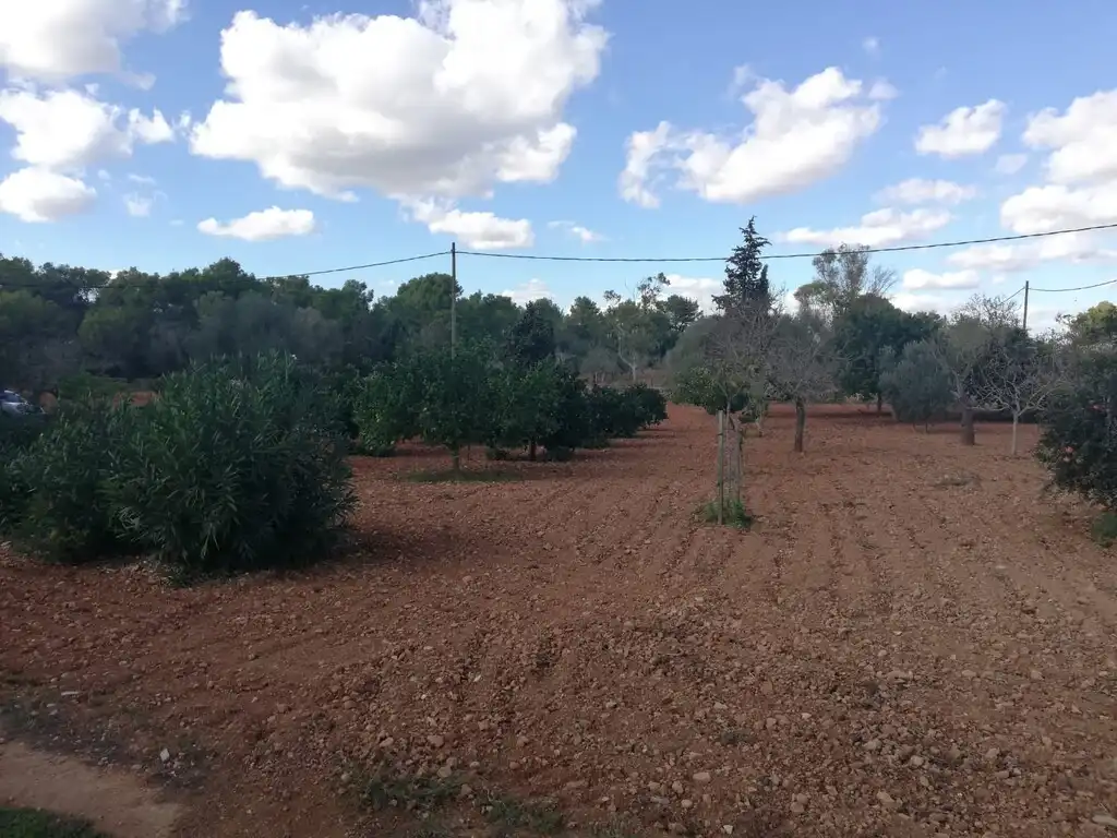 Terreno rustico in vendita a Algaida, imagen 10