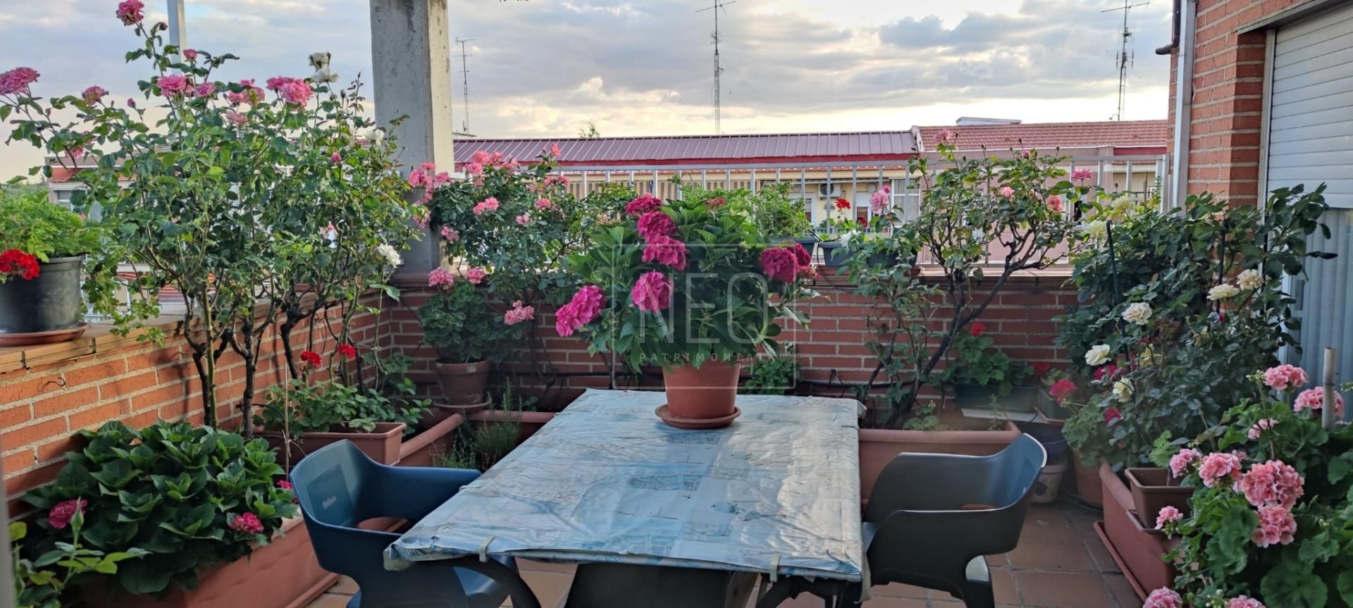 Terrassa de Àtic en venda en  Madrid Capital amb Aire condicionat, Calefacció i Jardí privat