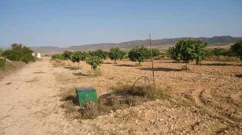 Parcela Urbanizable con agua 48.368 m Paraje Las Gamellejas Yecla, immagine 3